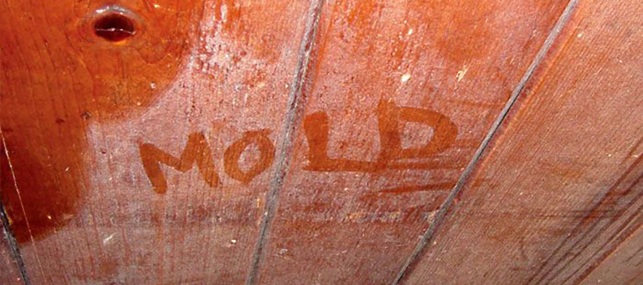 mold and mildew on a boat